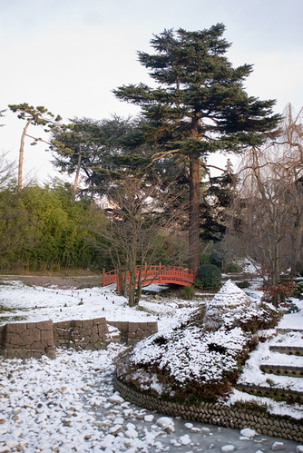 Les jardins d'Albert Kahn V