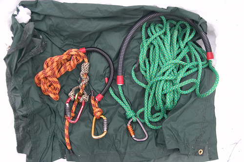 Second anchor or lanyard for limb walking - Tree Climbers International  Forum - Tree Climbers International