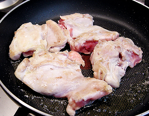 Oregano 風味雞腿肉-080505