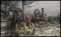 Steam Tractors - Waiting