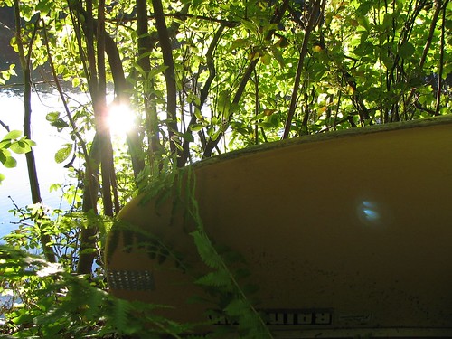 Canoe in the Woods
