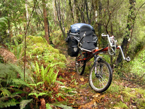 Pushing the bike across the Mangapurua Track from Whakahoro to the Bridge to Nowhere, Whanganui National Park, New Zealand