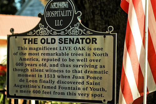 Old Senator  