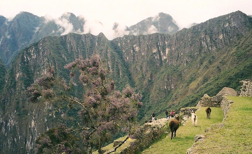 Machu Pichu (12)