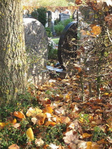 Autumn in the Noorderveld cemetery, Nieuwegein