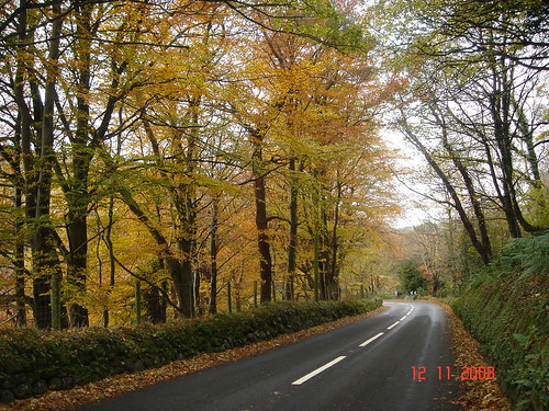 Glens Of Antrim. autumn about the Glens of Antrim 125