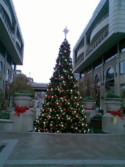 Christmas Tree at Washington Harbour