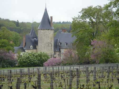 Loire Valley winery