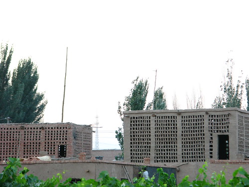 Grape drying houses in Turpan, Xinjiang Province, China