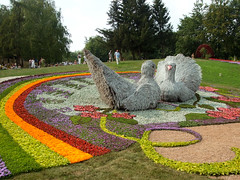 Kyiv Flower-show 2008