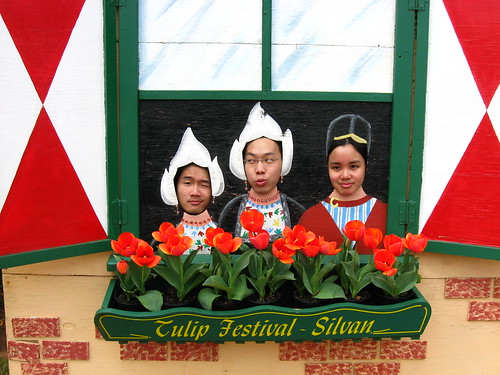 Tulip Fest