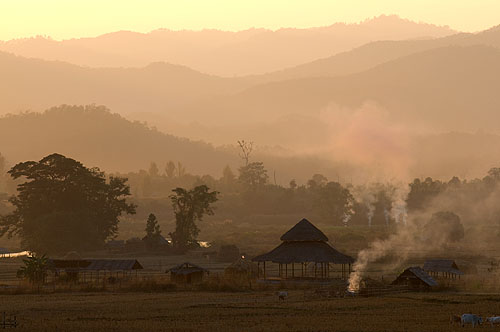  Rice fields outside Pai at sunset, Mae Hong Son, northern Thailand