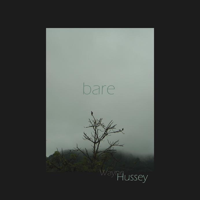 WAYNE HUSSEY: Bare (Eyes Wide Shut 2008)