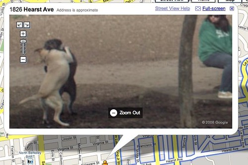 street view funny. Google Street View: A Canine