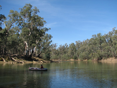 Murray River 013