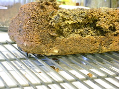Cookies 'n' Cream Pound Cake... Too Eagerly Removed