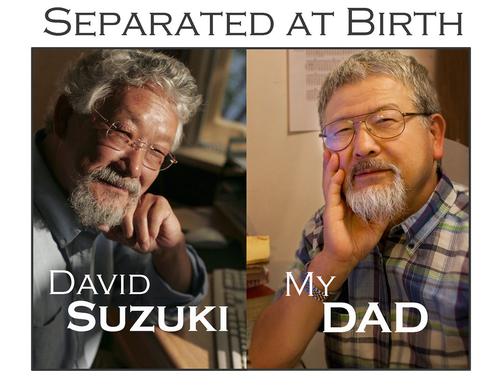 David Suzuki & Otosan Collage