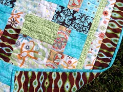 cat quilt back and border
