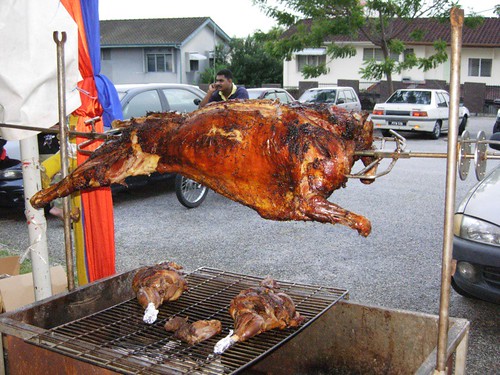 roasted whole lamb