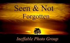 Ineffable Photo Group