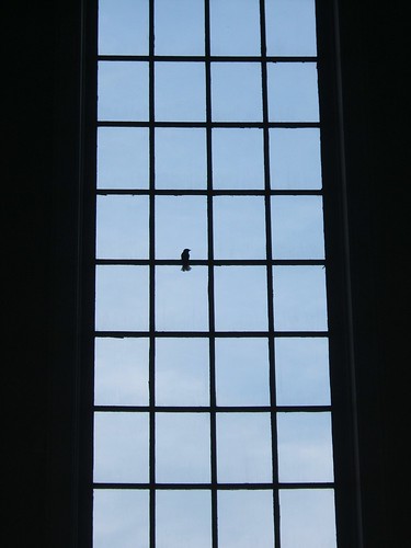 church bird