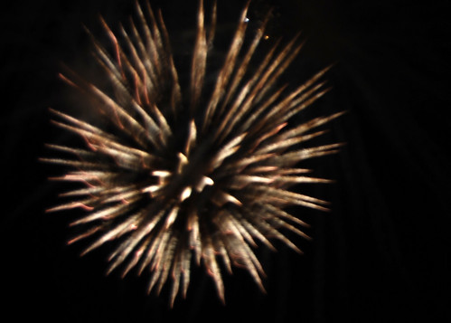73-Long Beach Fireworks Blossom