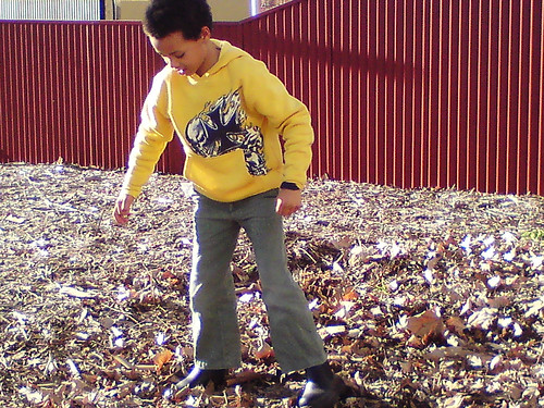 Playing with autumn leaves