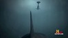 El cachalote solitario es detectado por megalodon