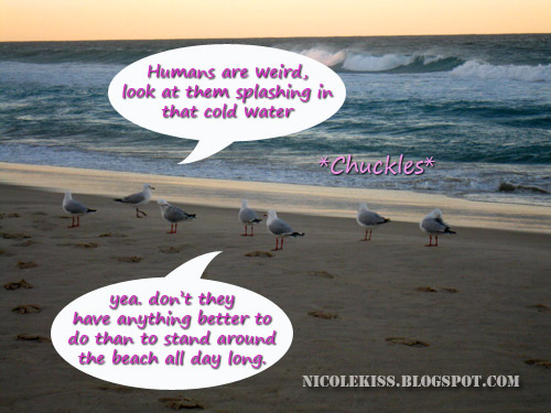 seagulls at the beach thinking