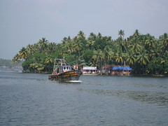 Backwaters - Kerela