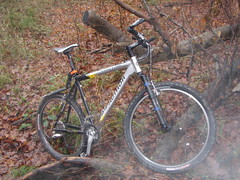 Author Traction with stiff carbon fork