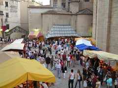 Tortosa, Festa del Renaixement 2008