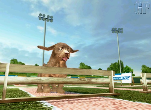 Petz_Sports_Obstacles_3 by gonintendo_flickr.