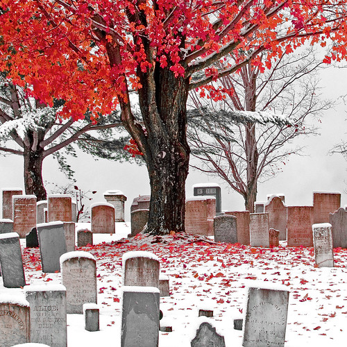 Cemetery in October Snow