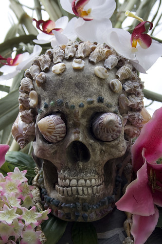 Palawan inspired skull