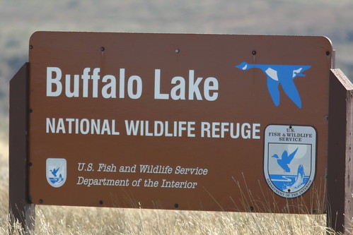 Buffalo Lake Sign