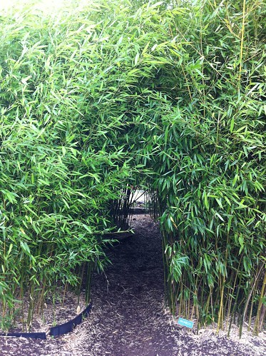 Bamboo Walk-Through