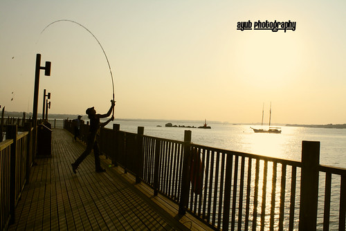 Sunset`fishing