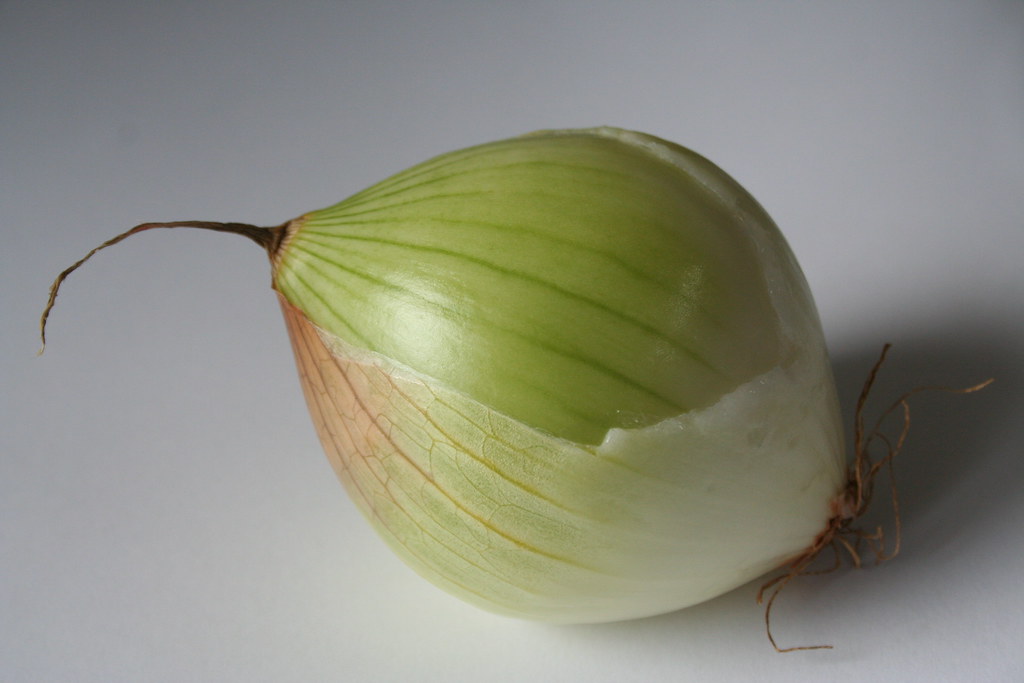 onion minus fairy wing