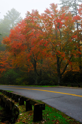 Blue Ridge Parkway  Red and Orange