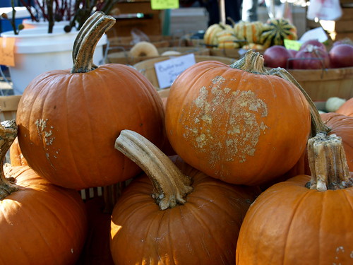 Pumpkins at market