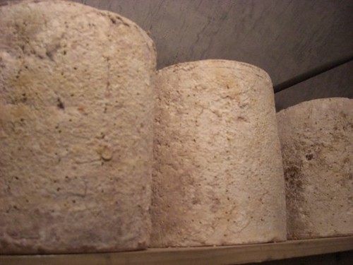Older Cheese