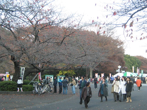 Autumn leaves at Ueno Park