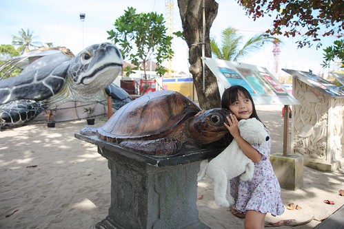 aina loves the smaller tortoise :)