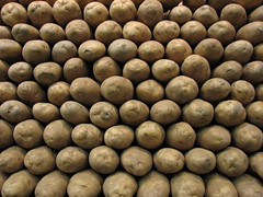 potatoes. photo by Great Beyond (via Creative Commons)