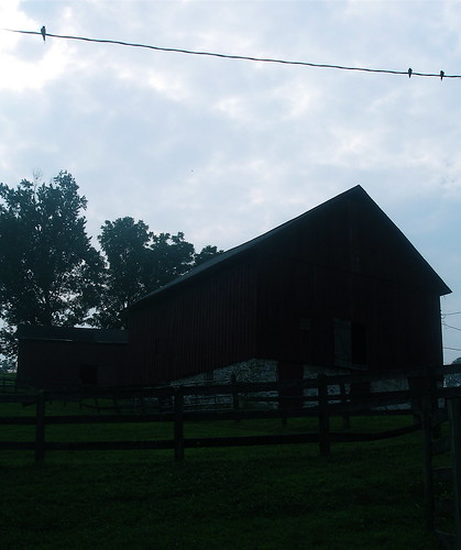i love barn silhouettes. birds on a wire are nice, too.