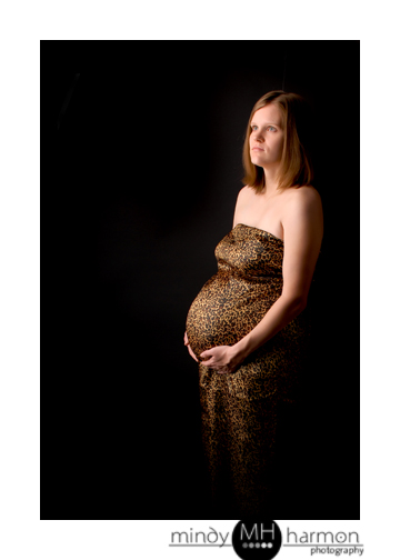 pregnancy portraits houston