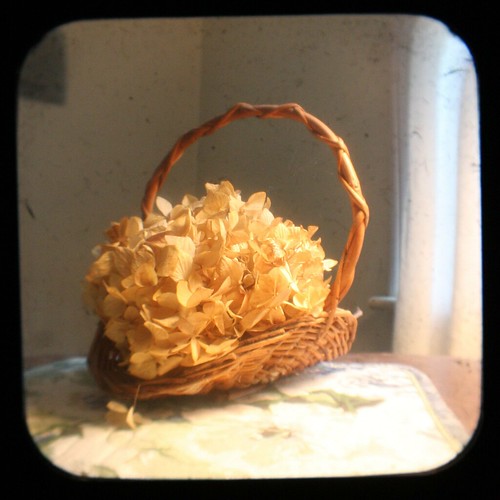 Hydrangea Basket