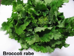broccoliRabe-1