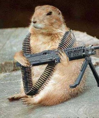 Hamster Militia